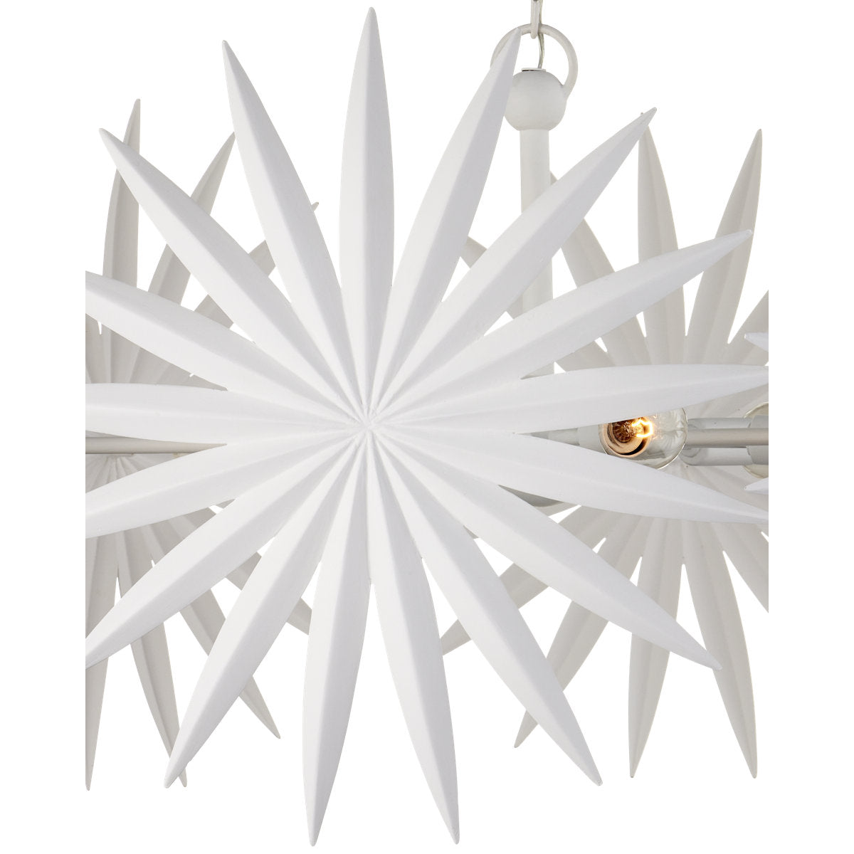 Bismarkia 6 - Light Wrought Iron Chandelier by Marjorie Skouras