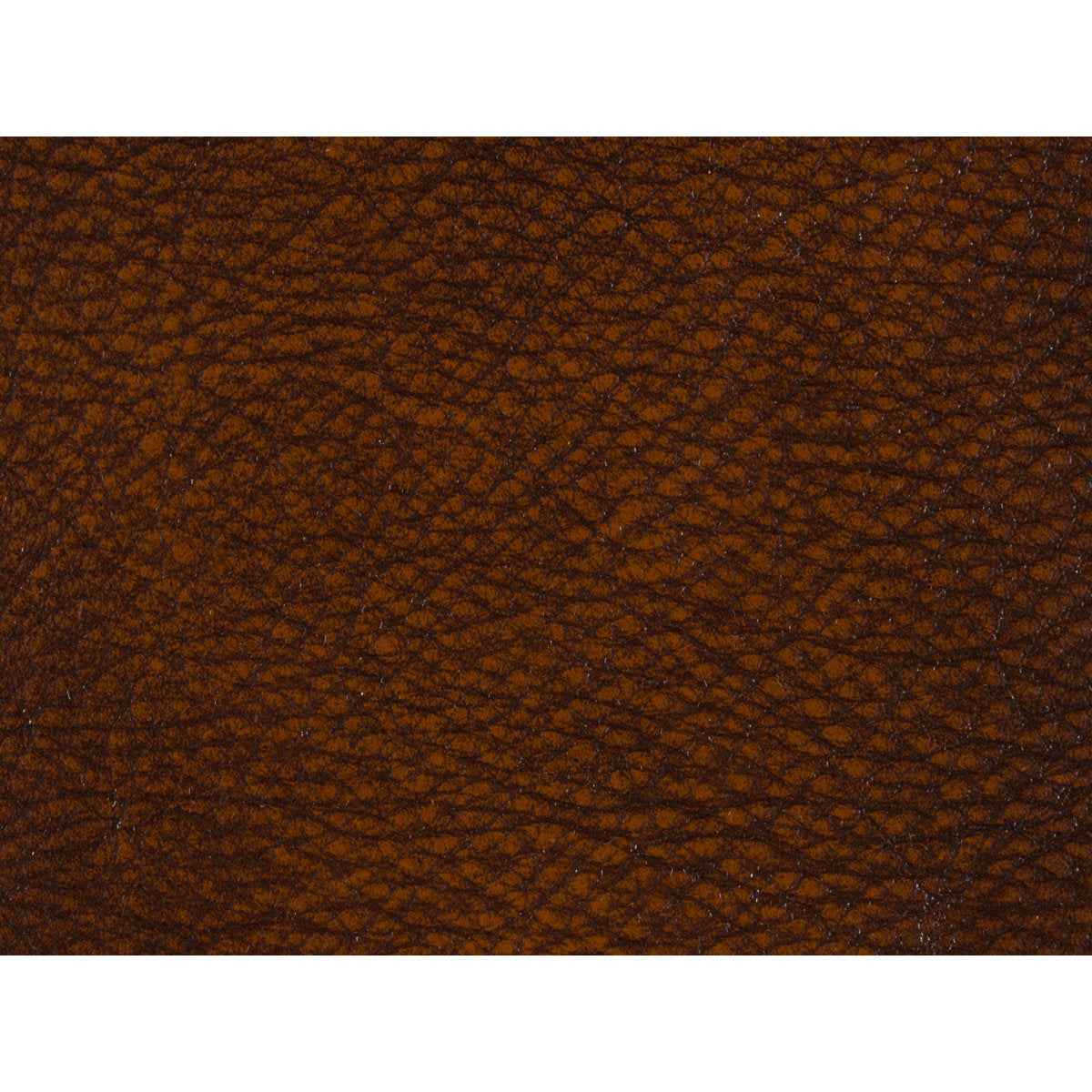 EC Genuine Leather Executive Chair