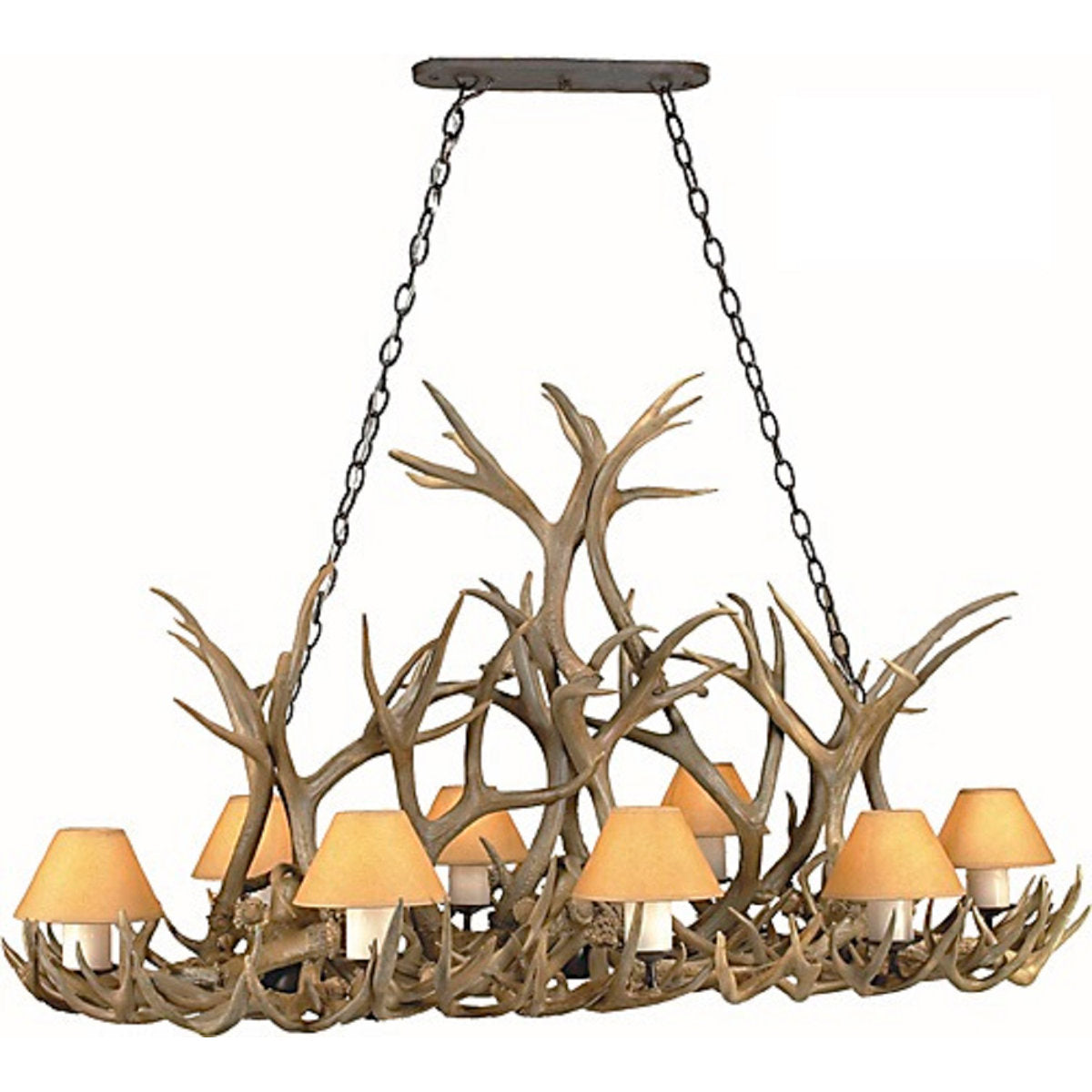 Riddell 8 - Light Chandelier