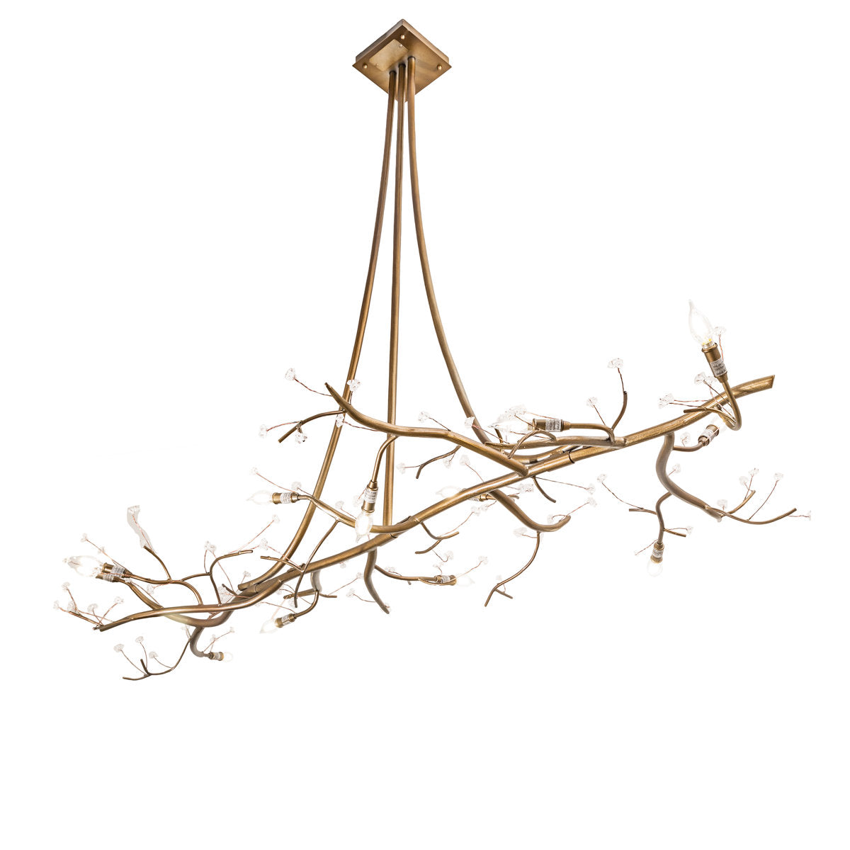 12 - Light Chandelier