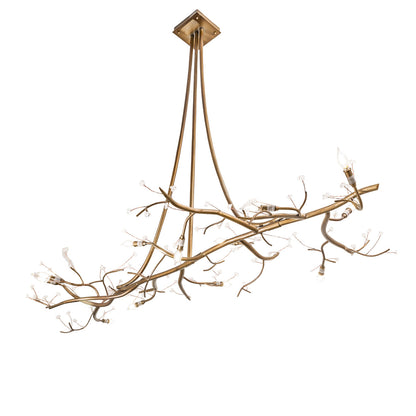 12 - Light Chandelier