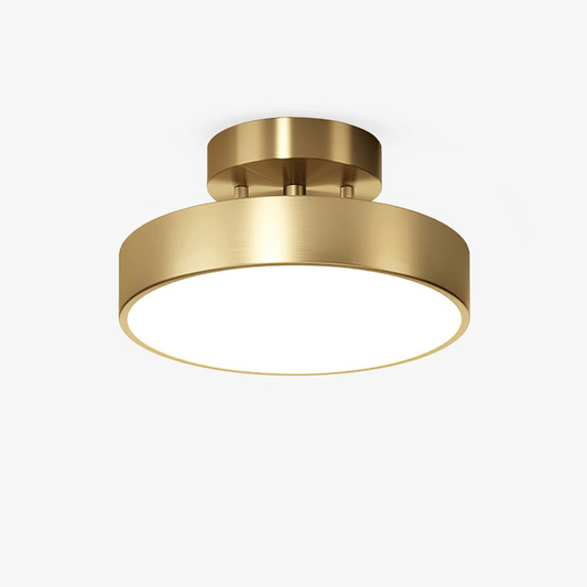 Meridian Rotatable LED Ceiling Light