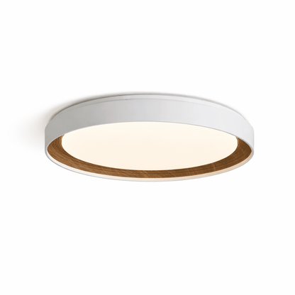 Arco Acrylic Ceiling Light