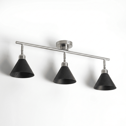 Axiom Directional Ceiling Lamp