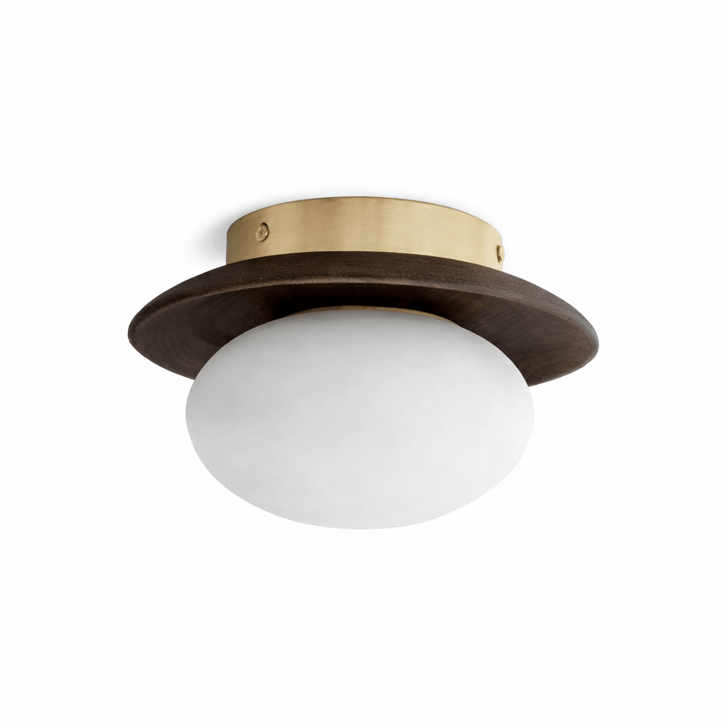 Brio Dome Ceiling Light