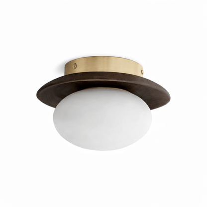 Brio Dome Ceiling Light