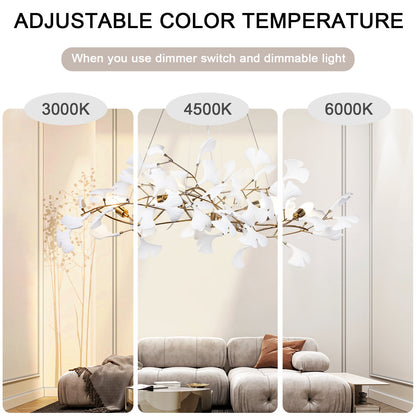 1 - Light Chandelier