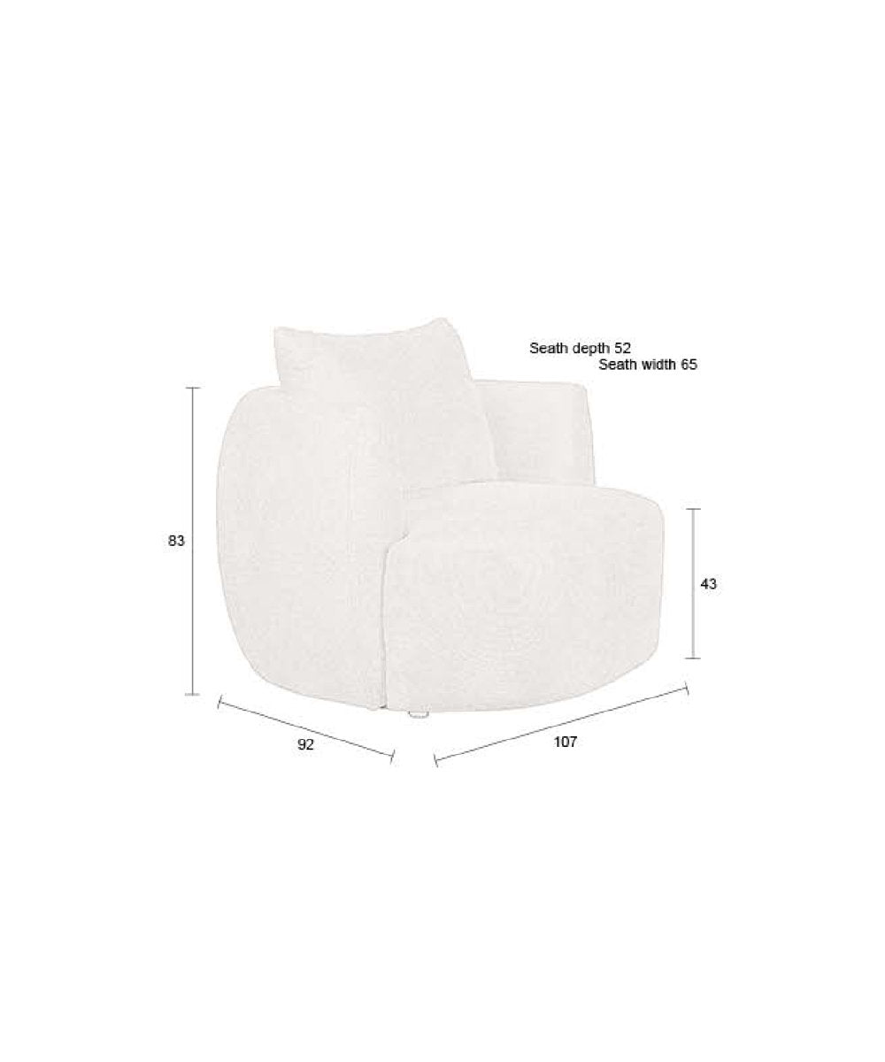 Accent Chair Lounge Chair Chair with Ottoman