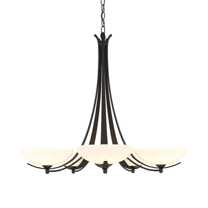 Aegis 5 - Light Shaded Classic/Traditional Chandelier