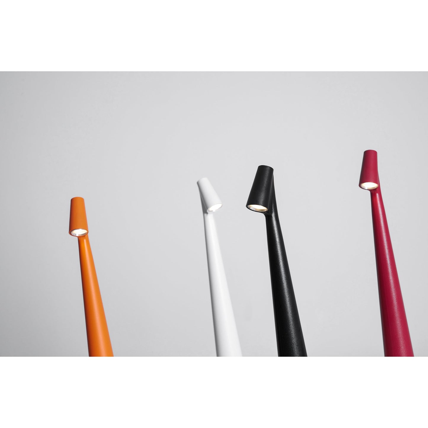 Africa Portable Table Lamp