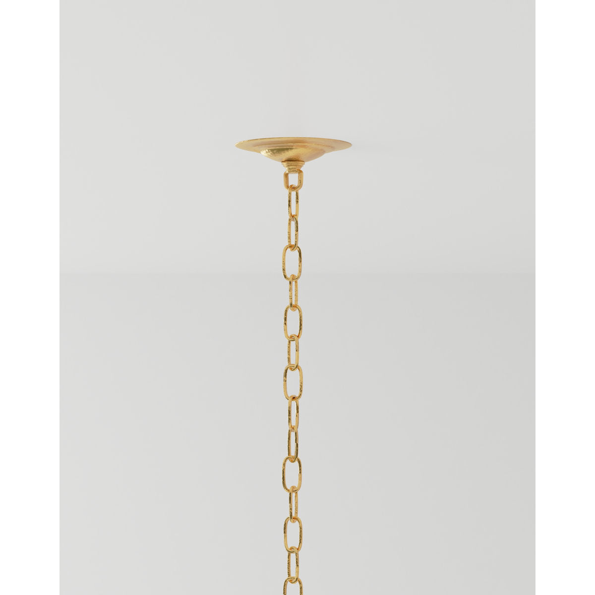 Agave Americana 22 - Light Chandelier