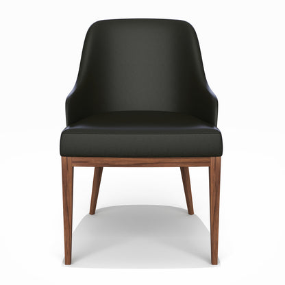 Aglaures Leather Arm Chair