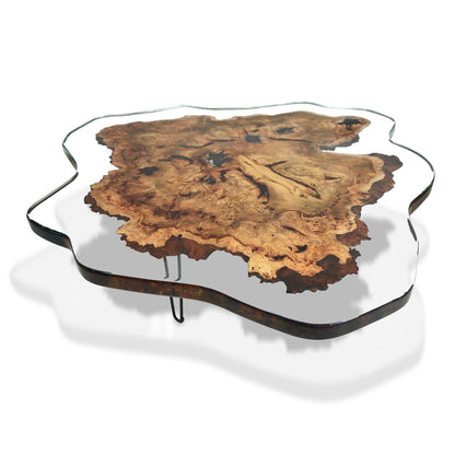 Amorphous Coffee Table