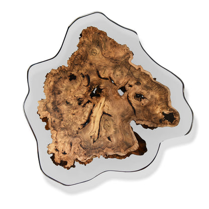 Amorphous Coffee Table