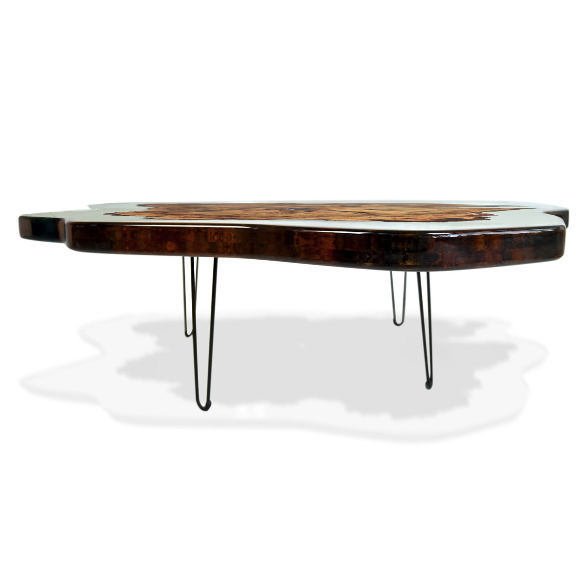 Amorphous Coffee Table