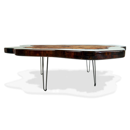 Amorphous Coffee Table