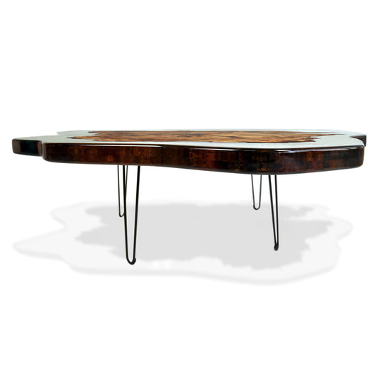 Amorphous Coffee Table