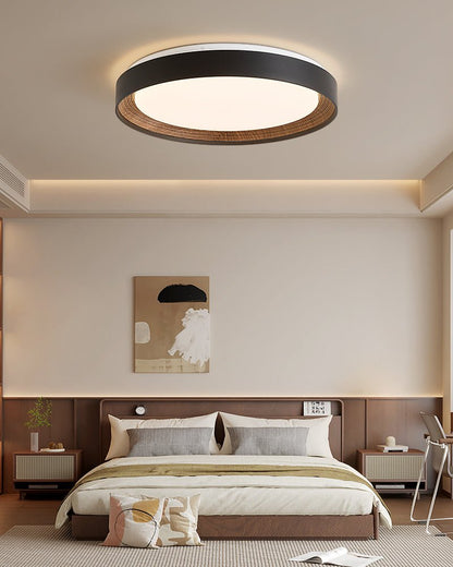 Arco Acrylic Ceiling Light