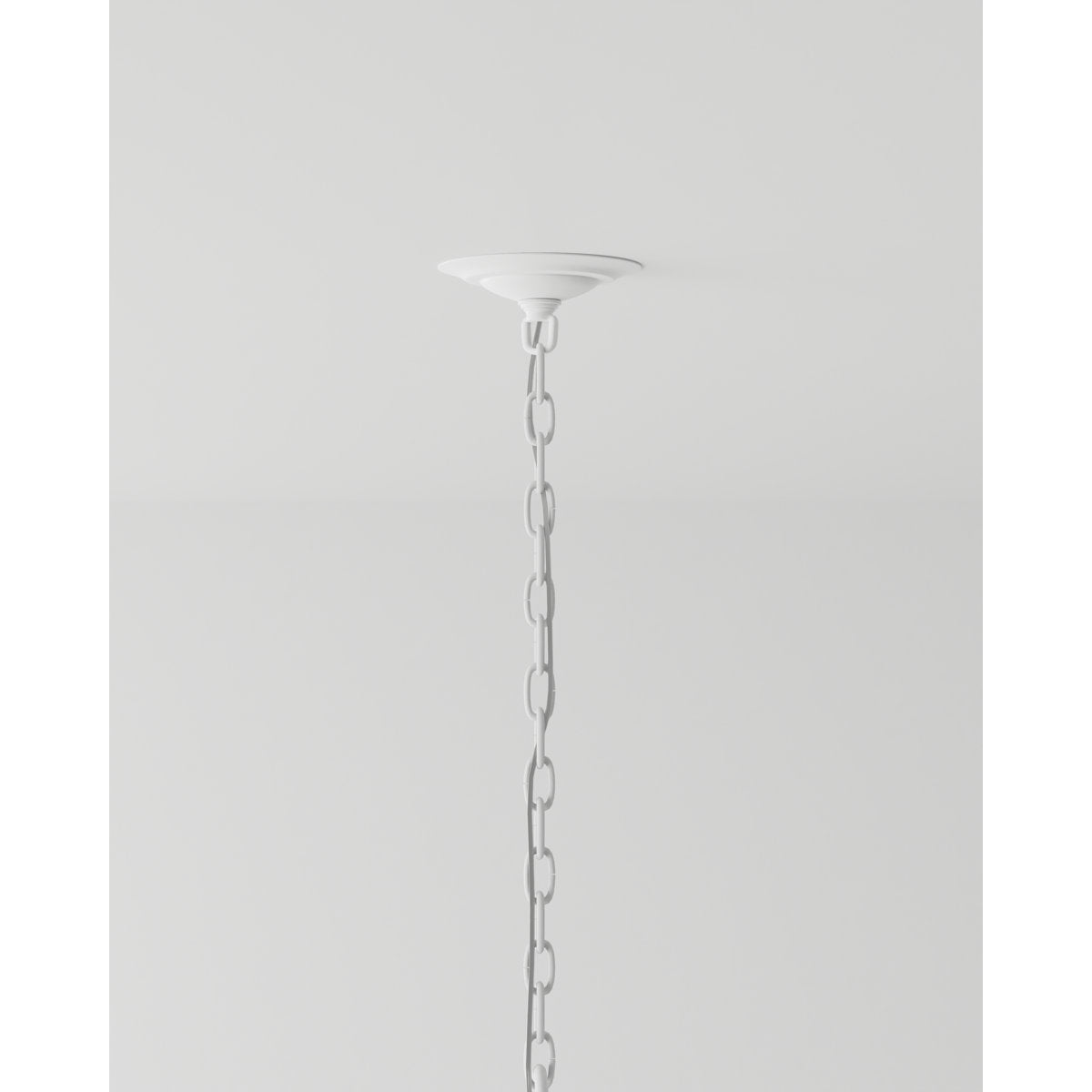 Bismarkia 13 - Light Chandelier