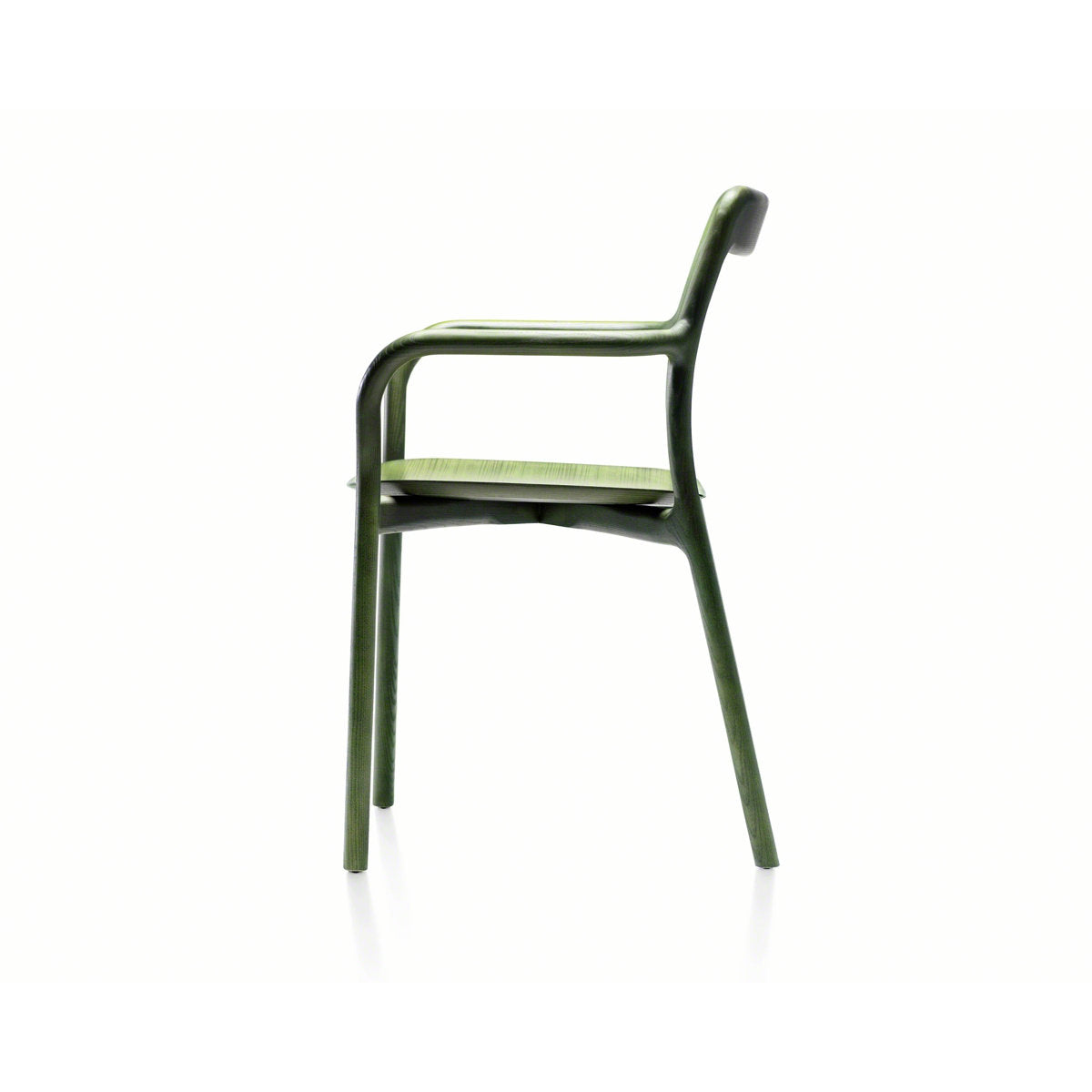 Branca Solid Arm Chair