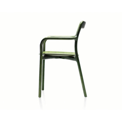 Branca Solid Arm Chair