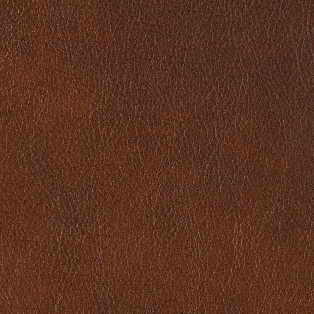 Camino 32'' Wide Genuine Leather Top Grain Leather Swivel Barrel Chair