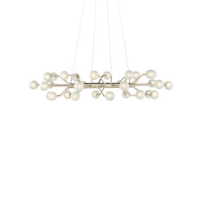 Chaldea 30 - Light Chandelier