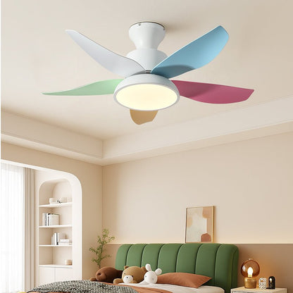 Color Breeze Ceiling Fan Light
