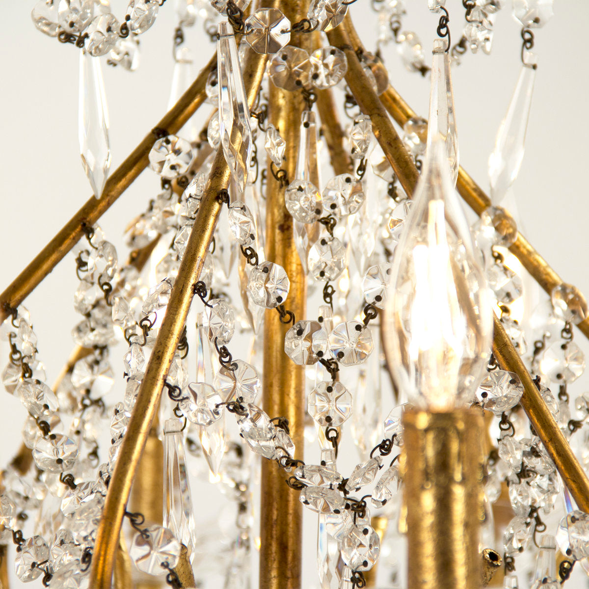 Fauna 12 - Light Chandelier