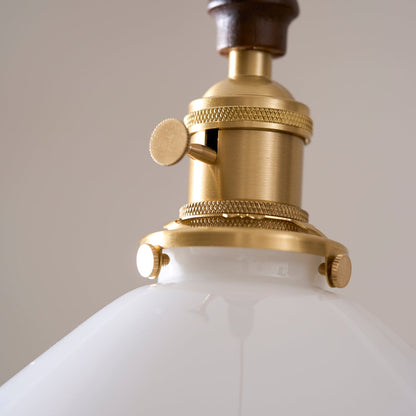 Flower Petals Pendant Lamp
