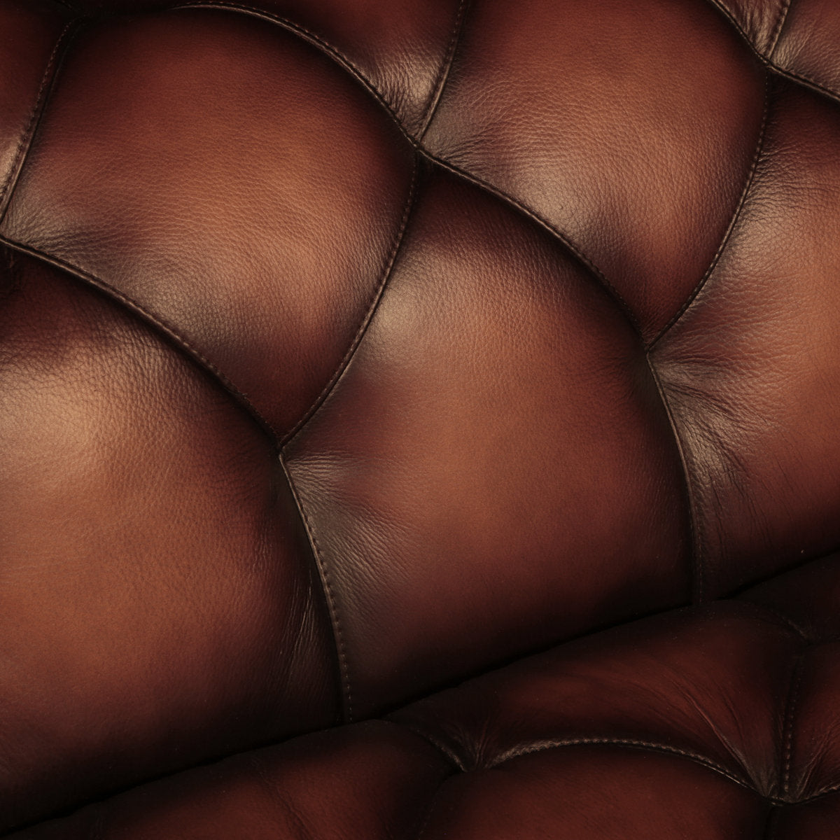 Gaga Sofa