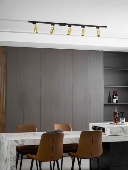 Gilded Rail Track Light