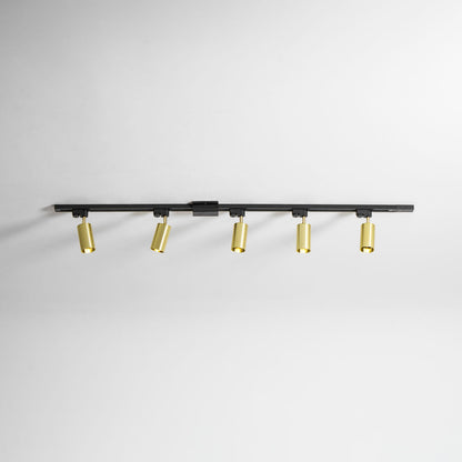 Gilded Rail Track Light