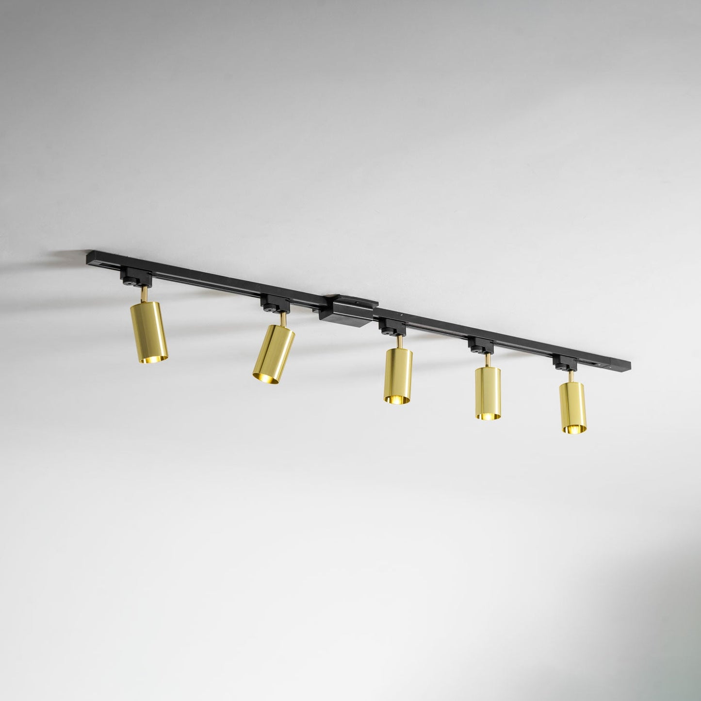 Gilded Rail Track Light