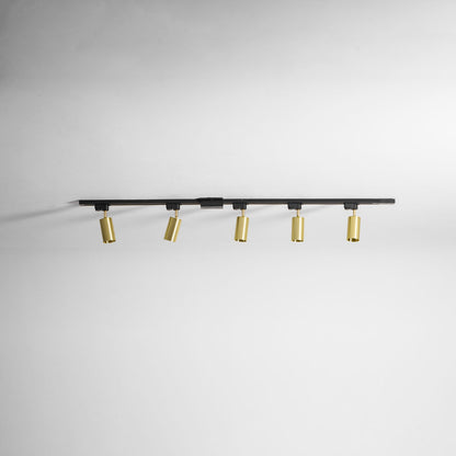 Gilded Rail Track Light