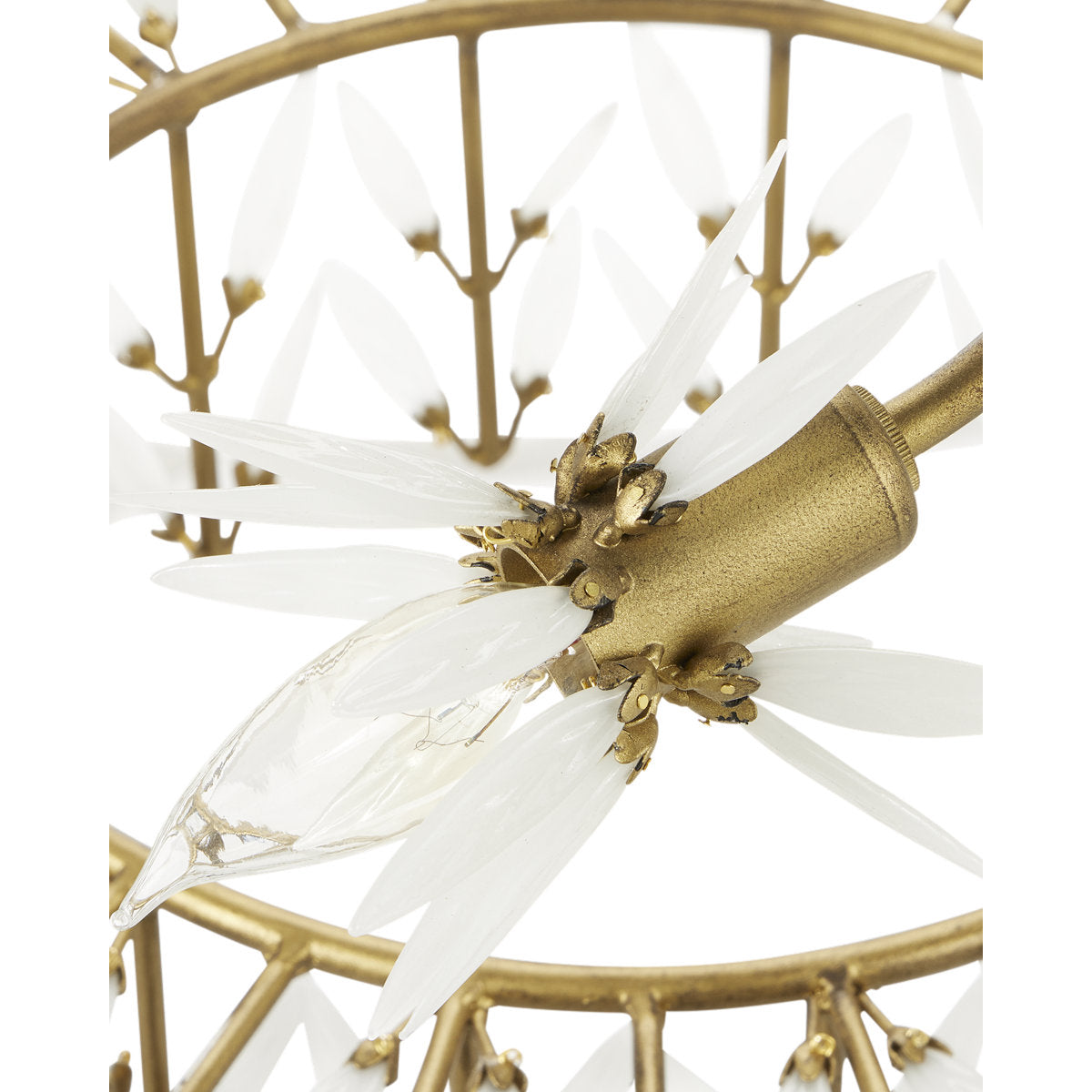Magnum Opus 12 - Light Chandelier