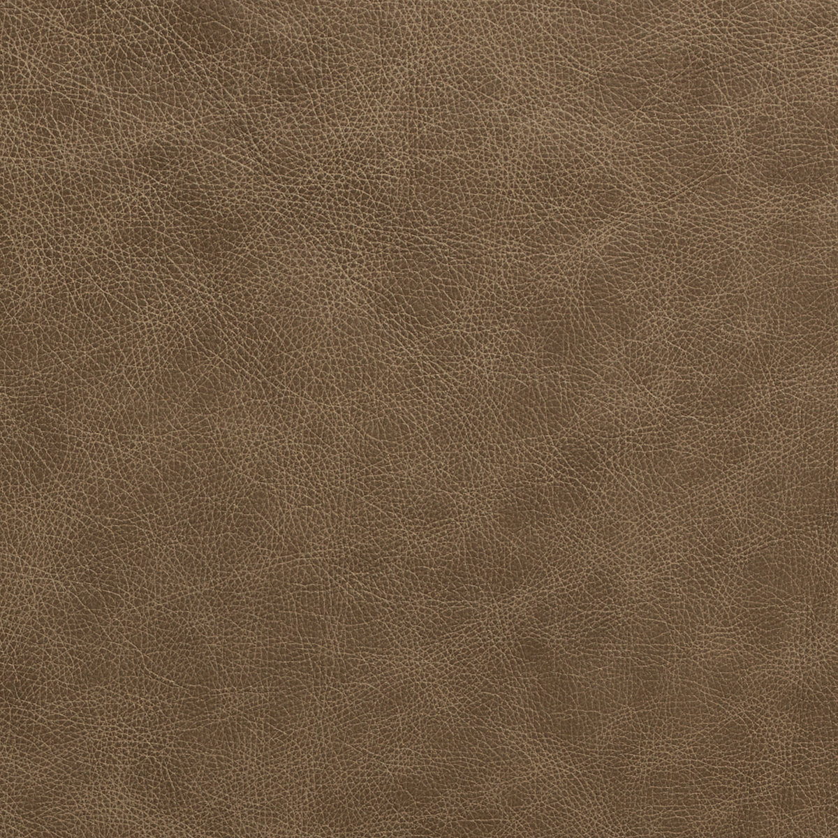 Moda Sofa