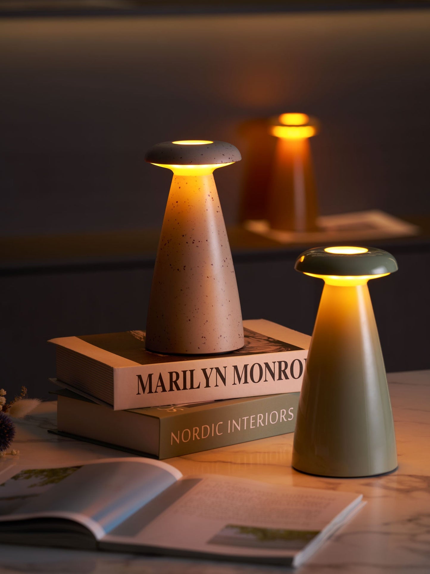 Noko Mushroom Rechargeable Table Lamp