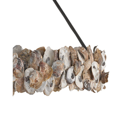 Oyster 8 - Light Chandelier