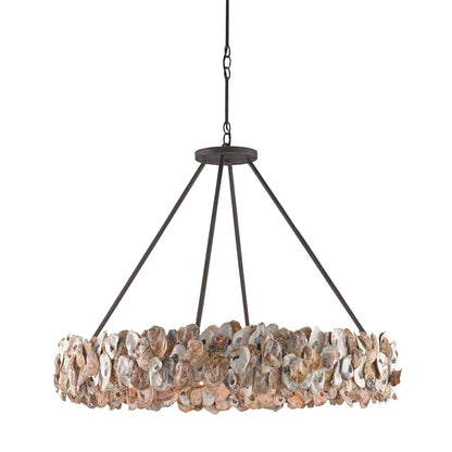 Oyster 8 - Light Chandelier