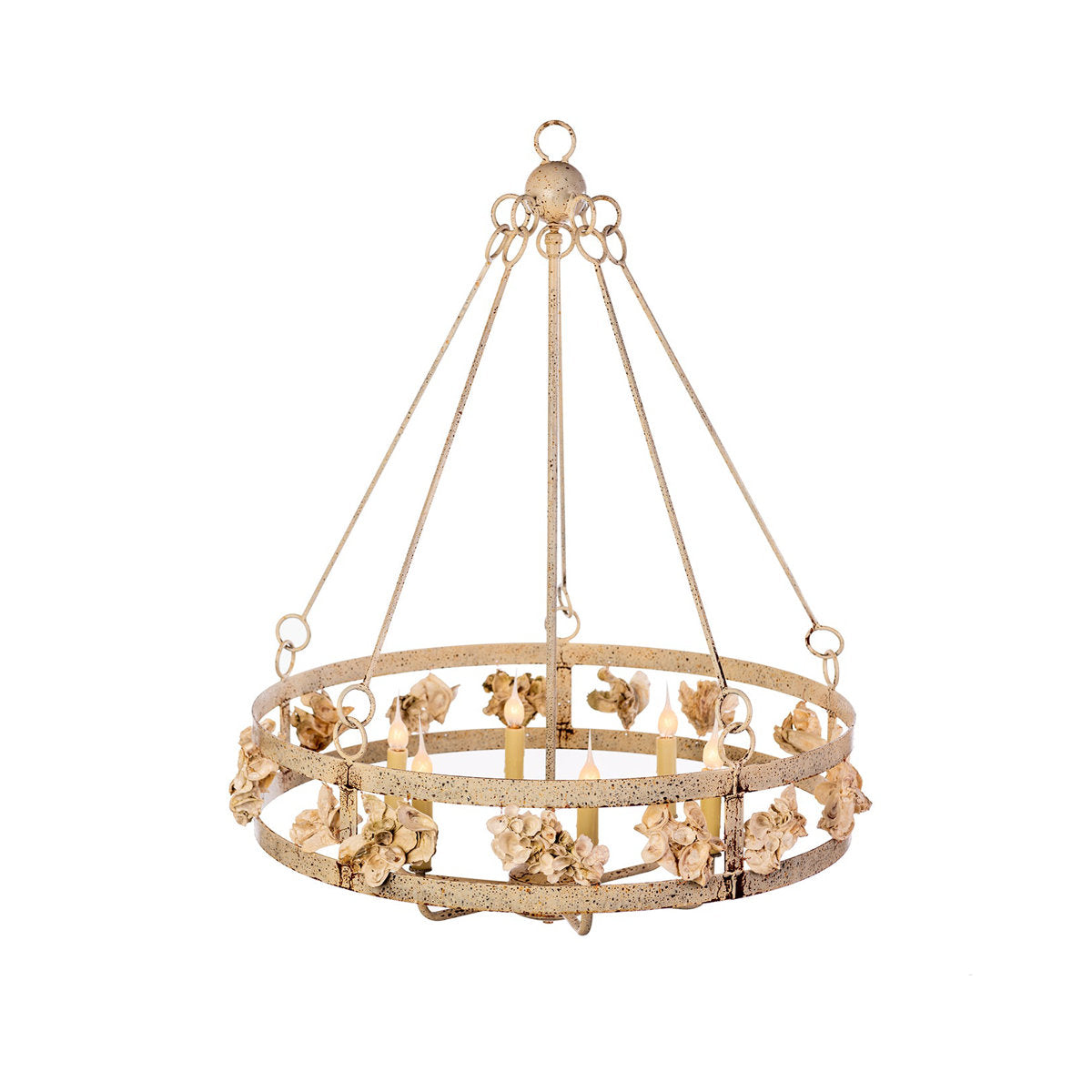 Oyster Shell 5 - Light Chandelier