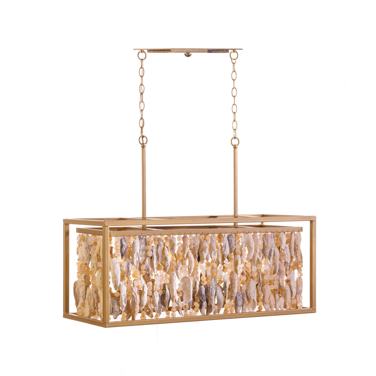 Oyster Shell 5 - Light Pendant