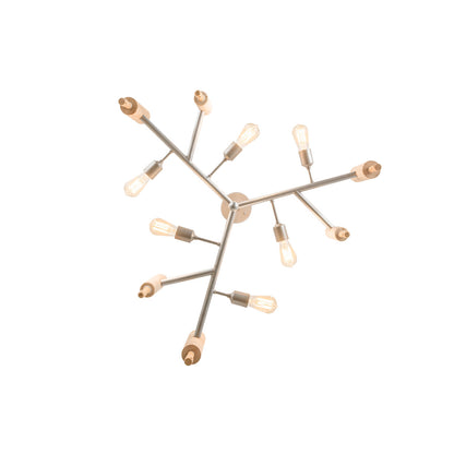 Satara 6 - Light Chandelier