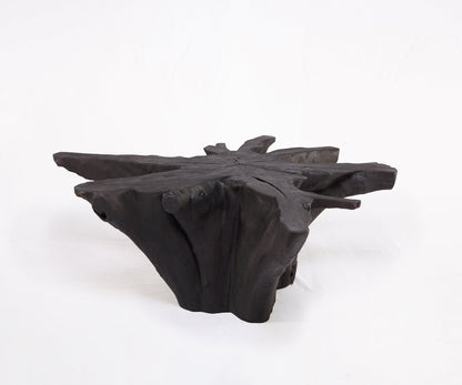 Solid Wood Coffee Table