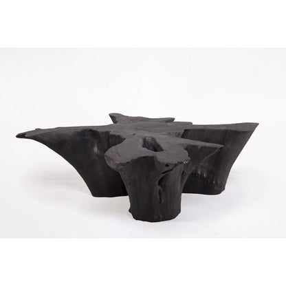 Solid Wood Coffee Table