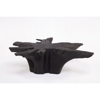 Solid Wood Coffee Table