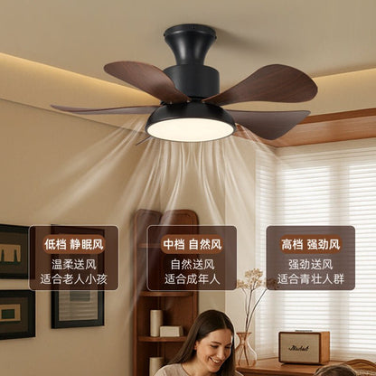 Velmora Ceiling Fan Light