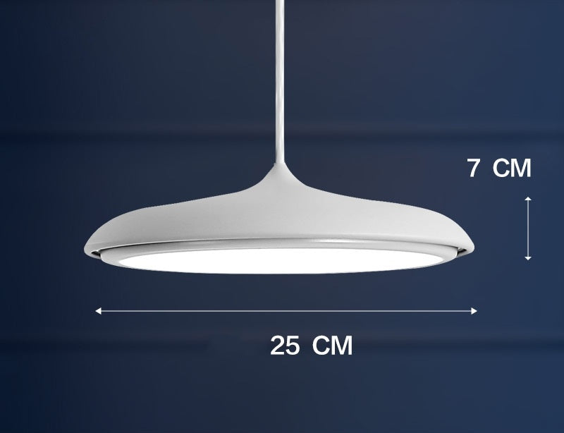 Skylure Nordic LED Pendant Lamp Minimalist Designer Ceiling Light