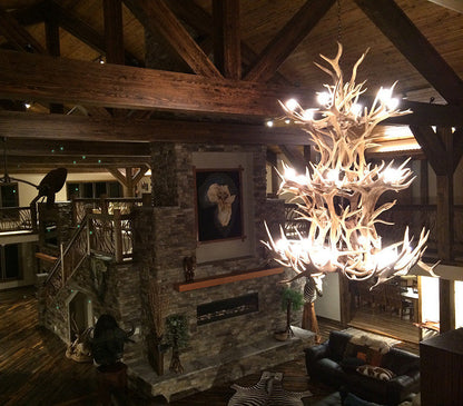 Elk, Whitetail, Mule Deer Antler Chandelier Light, Large, Parchment ShadesBy CDN Antler Designs, Inc.